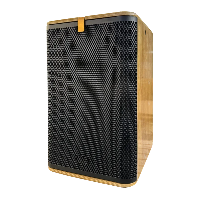 Classic Style Wood Grain Plywood Box KTV Singing Family Villa 500W