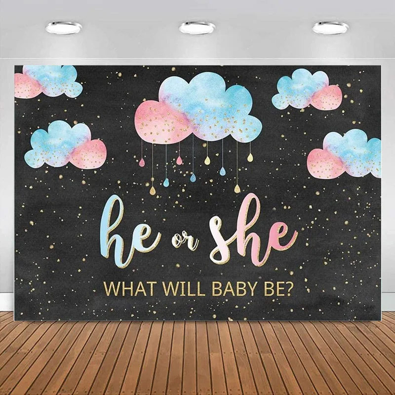 Gender Reveal Party Backdrop Cloud Blue or Pink Banner He or She Decoration What Will Baby Be Baby Shower Photography Background