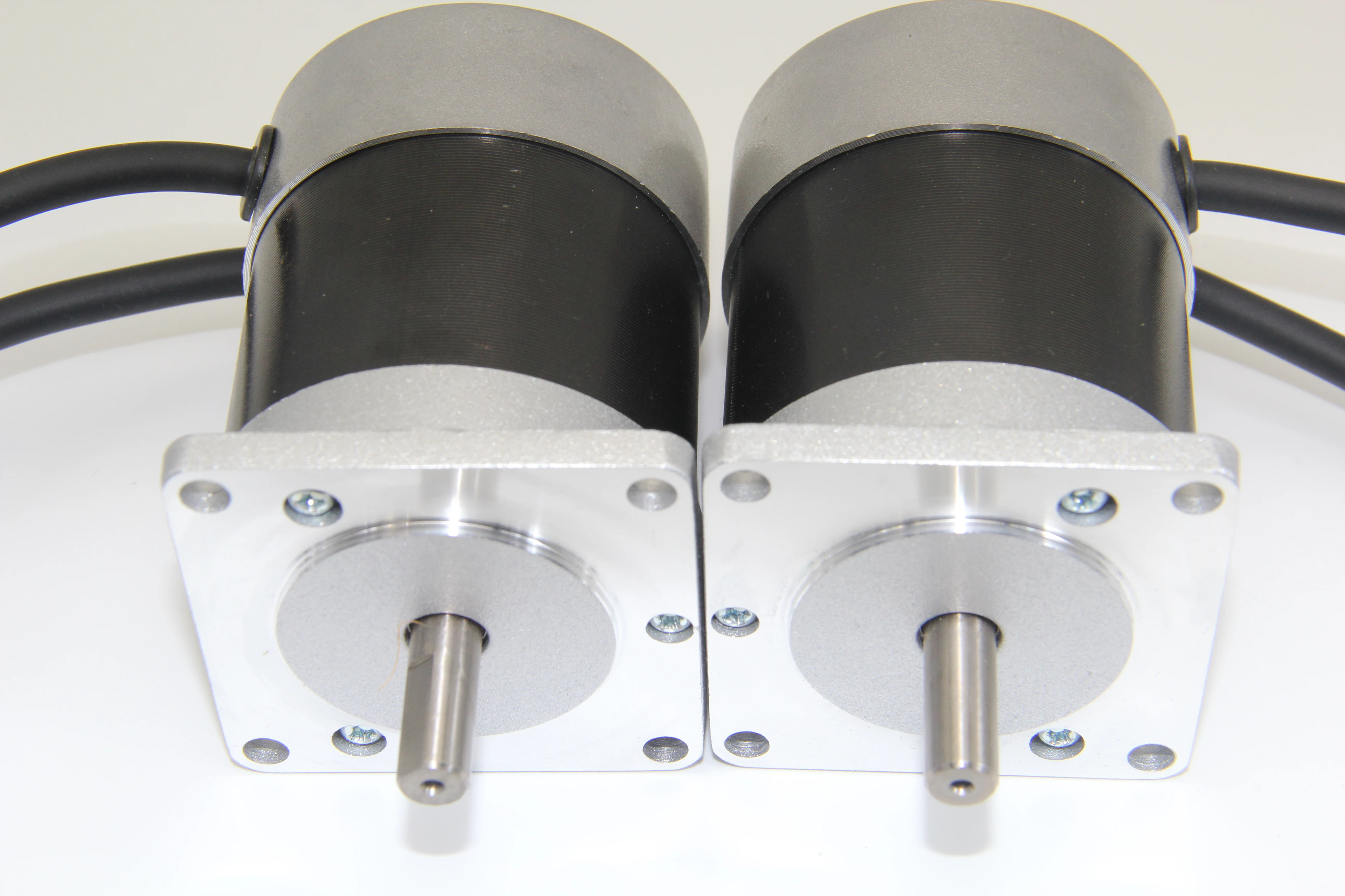 24VDC/48VDC 3000 RPM Alto Torque 100W BLDC