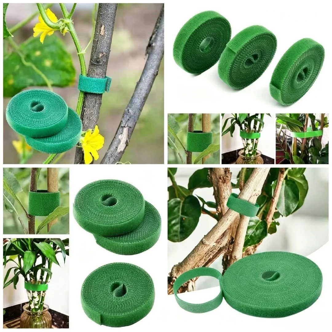 Plant zip ties roll, reusable, providing gentle support for climbing plants, tomato, chili, and grape, green, 1cmx2m，3 pieces