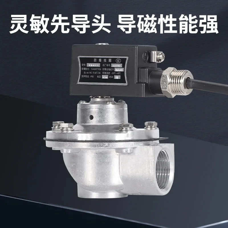 

Instrument Submerged Pulse Solenoid Valve DMF-Y-50S/62S/76S Type Dust Collector 3 Inch