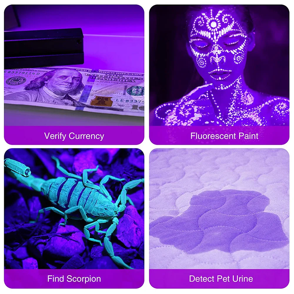 Lanternas de luz negra à prova d'água, portátil, uv, 12 led, 395nm, mini detector de tocha de luz para animais de estimação, manchas de urina, luz preta, lâmpada uv