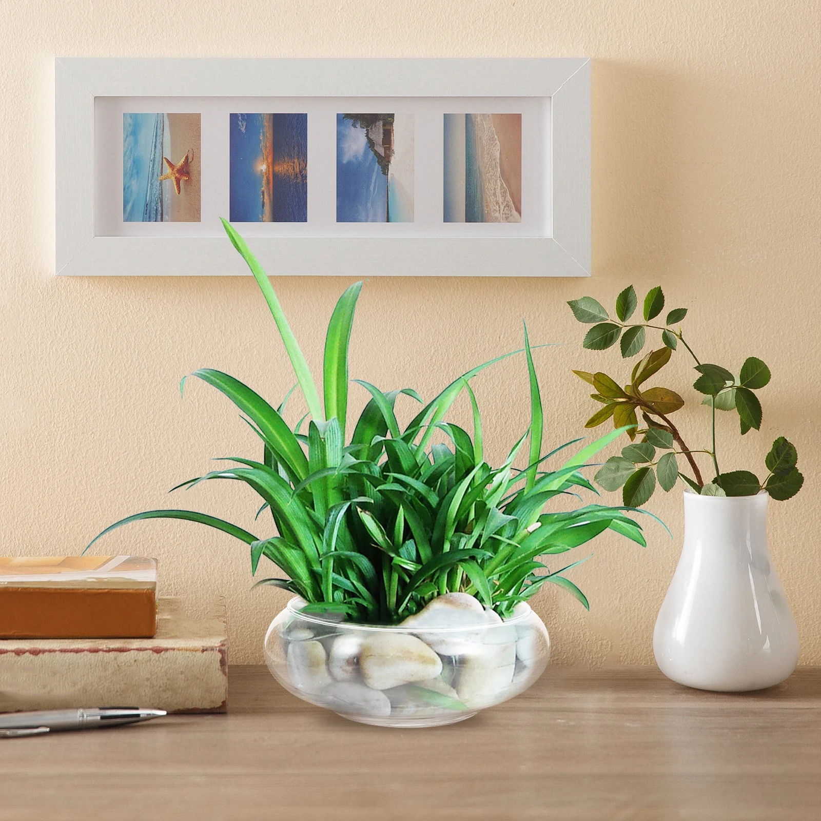 

Round Glass Fish Bowl Vase Clear Planter Terrarium Decorative Desktop Aquarium Hydroponic Plant Pot Home Garden Event