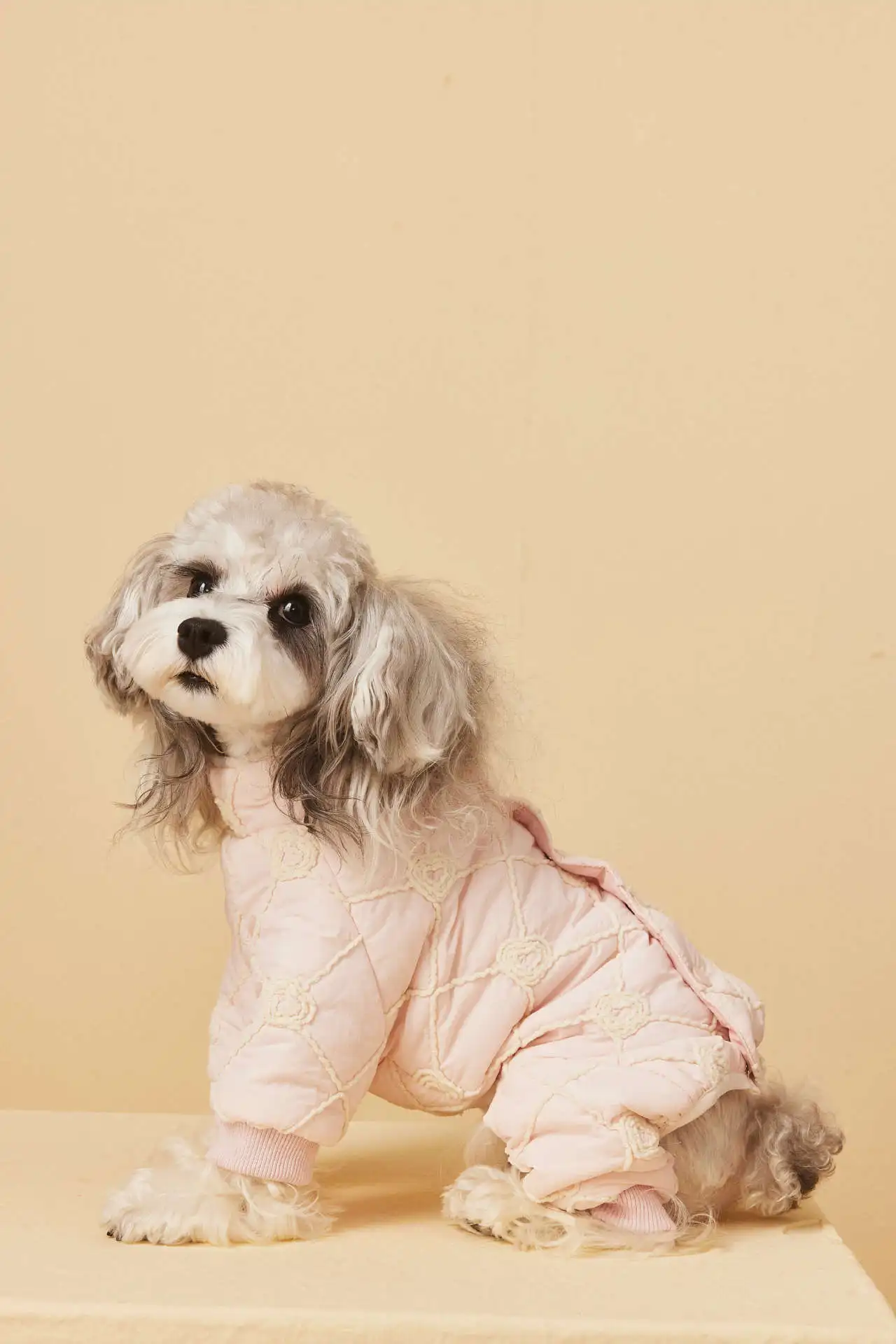 

Environmentally Friendly Fur Material Winter Warm Pet Jacket Brand Classic Design 2025 New Dog Coat Snack Bag