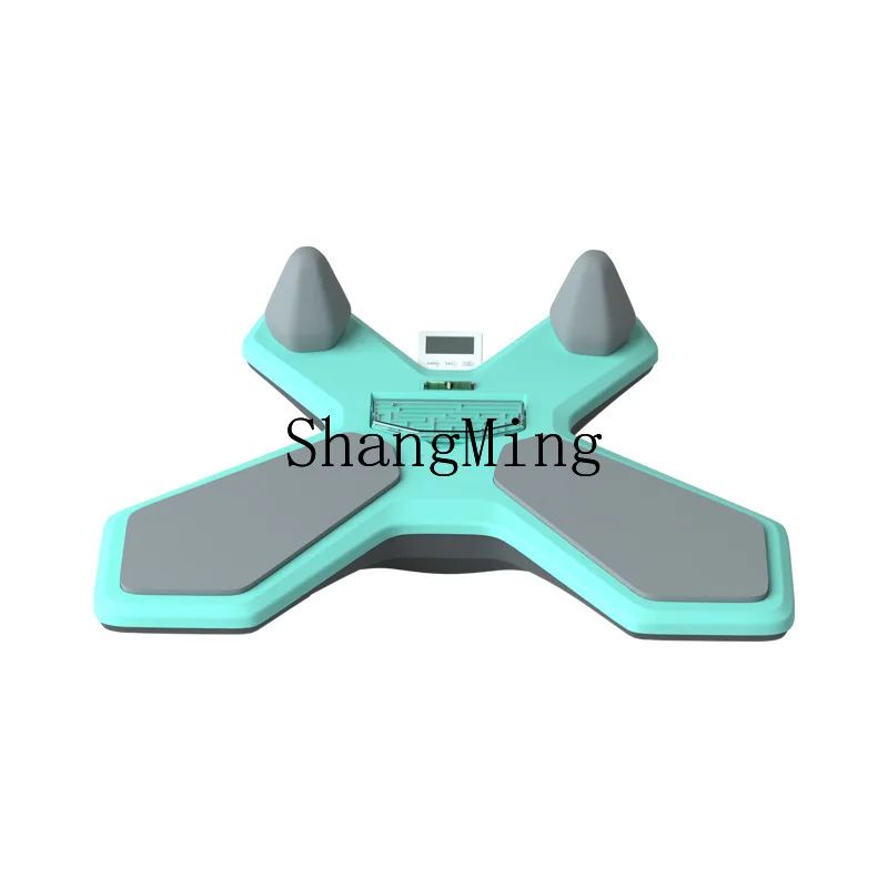 

PYH Libao Multifunctional Timing Balance Board Plate Support Comprehensive Trainer Household Fitness Abdominal