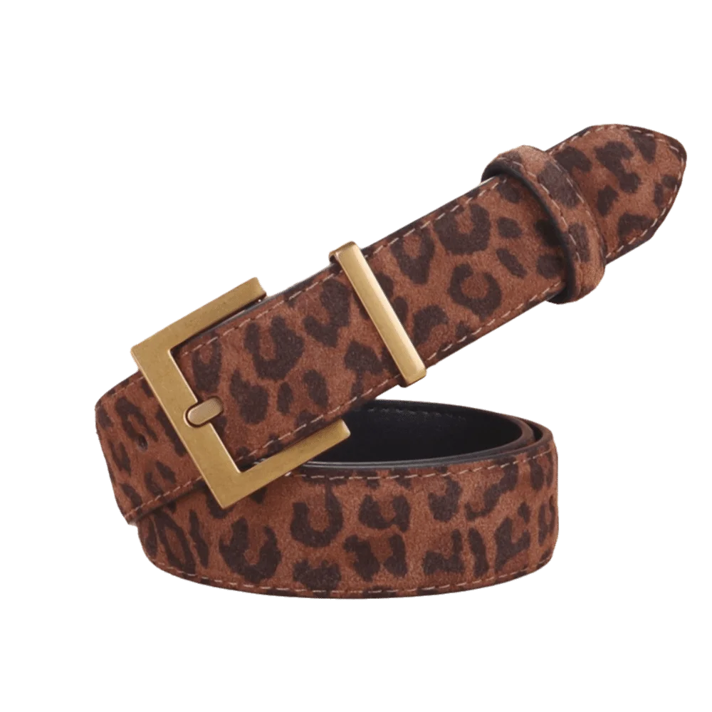Y2K Style Leopard Print Waist Belt Gold/Silver Buckle Adjustable Fashion Belt Needle Buckle Women's Belt Jeans Dresses