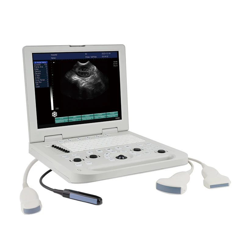 Hot Selling Full Digital Animal Laptop Ultrasound Scanner With Rectal Probe For Cattle Horse Vet Sonar USG For Dog Cat