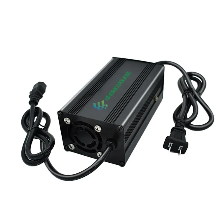 500w 800W 1200W 1500w 2000w Lead Acid Lithium Ion Lifepo4  Lipo Battery Charge for E-motorcycles/golf Carts