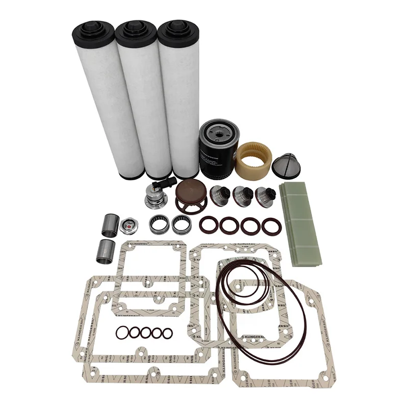1PCS NEW Fit for busch RA0302D RA0250D Vacuum Pump Repair Kit Maintenance Kit