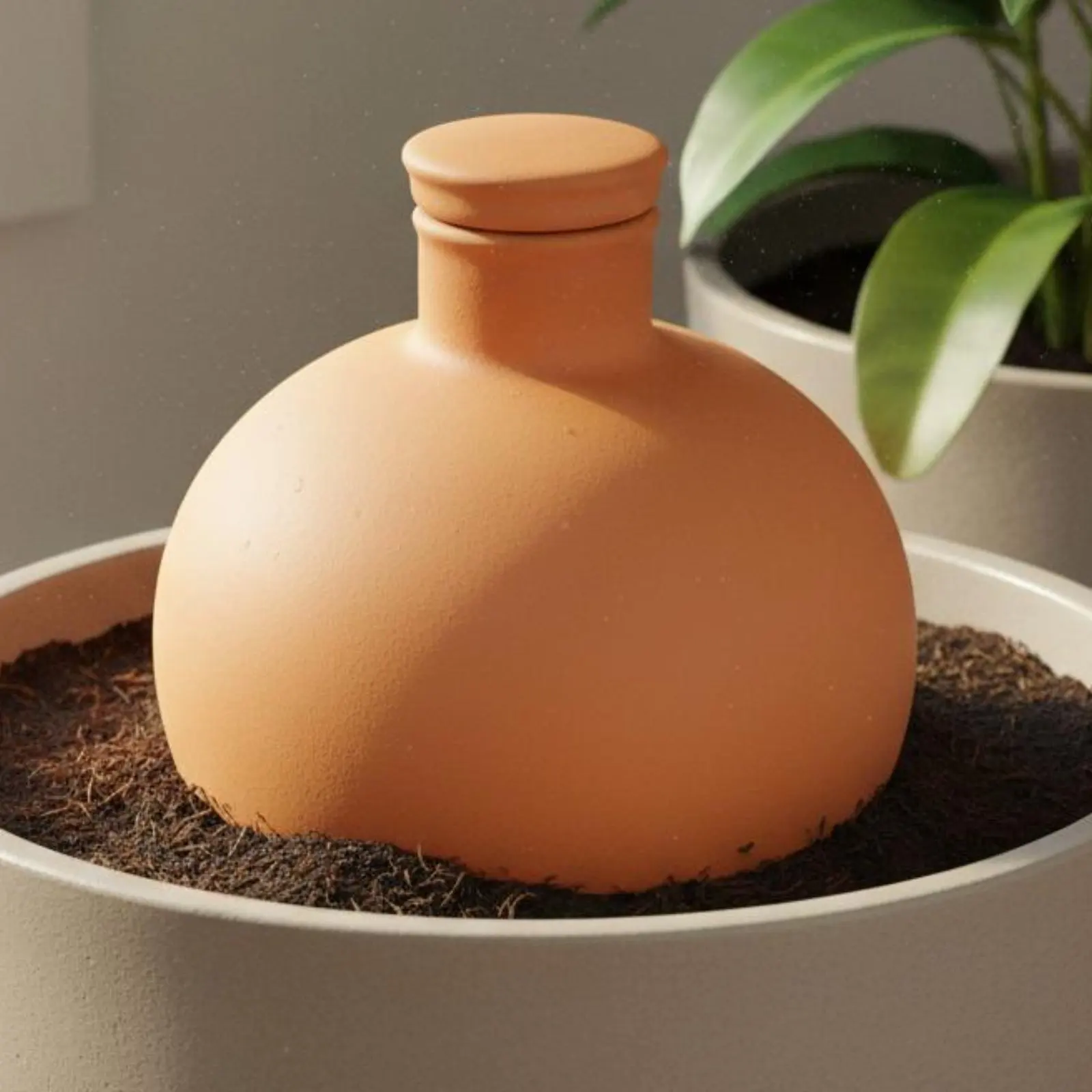 Aliexpress 2 Pieces Terracotta Olla Easy Plant Care Olla Watering Pot Porous Clay Waterer Water Saving Garden Supply Evaporation Resistance - Aliexpress Deal