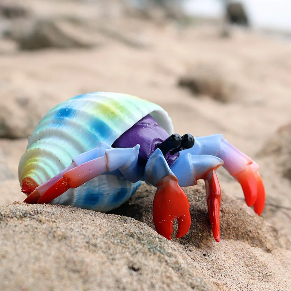 Realistic Animal Model Hermit Crab Figurines Model Simulation Ocean Animals Plastic Hermit Crab Marine Plastic Toys Collection