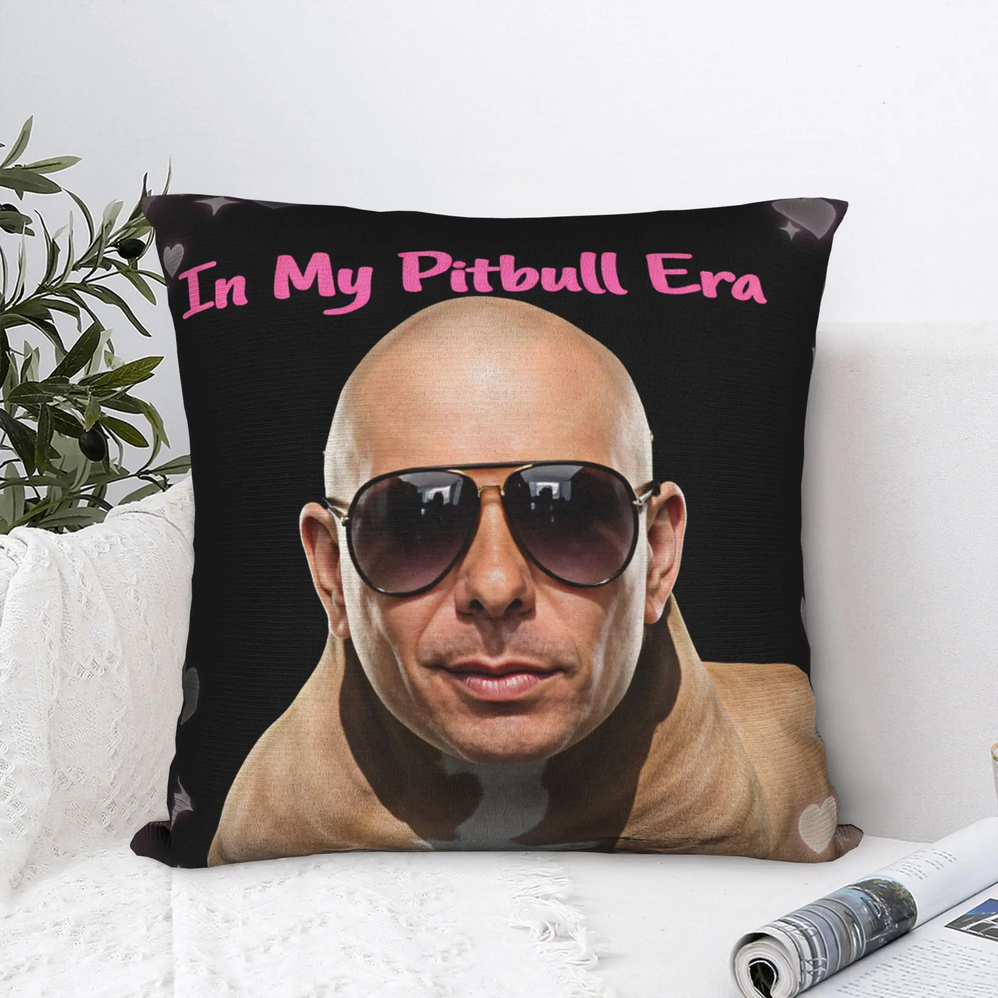 Pillow Case Pitbull Mr Worldwide Tour Comfy  Pillow Cover For Living Room Sofa Cute Funny Pillowcases
