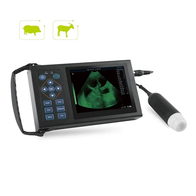 Portable Veterinary Ultrasound Machine Mechanical Fan Scan Ultrasound Diagnostic Instrument, High Configuration Version