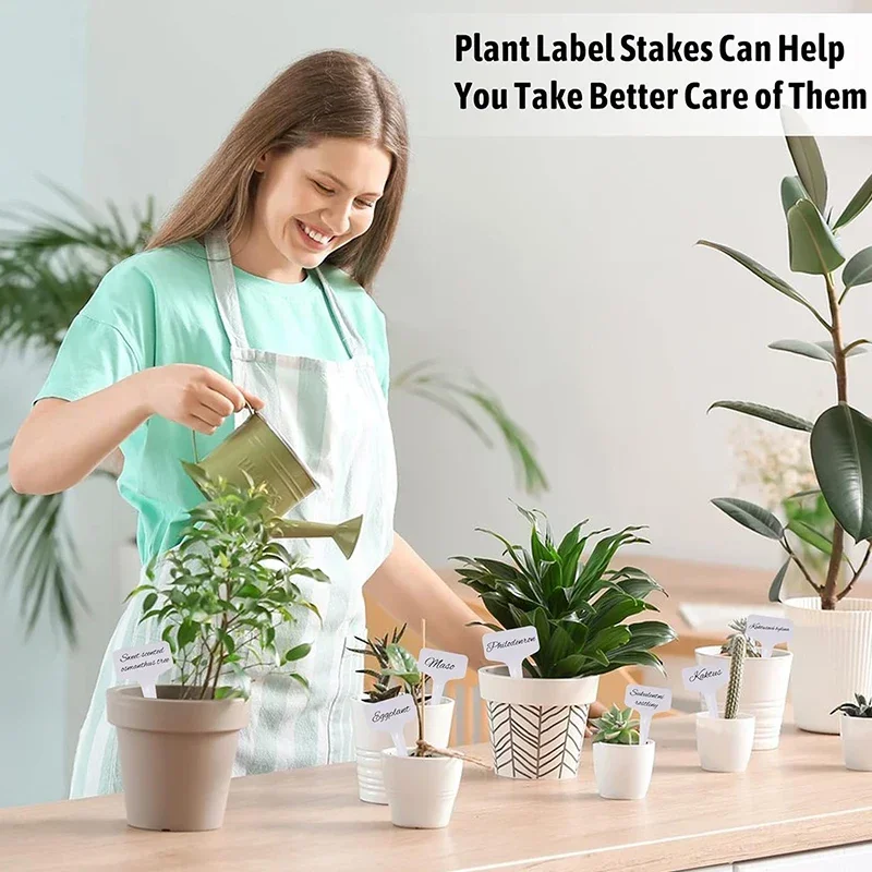 50 шт. Т-образные маркеры для этикеток для растений, водонепроницаемые ПВХ, садовые растения, классификация, сортировка, знак, бирки, маркеры для детских растений, этикетка