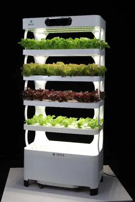 en نمو الخضروات الذكية، مطبخ واحد داخلي، زراعة مائية، نظام زراعة Aquaponics #6