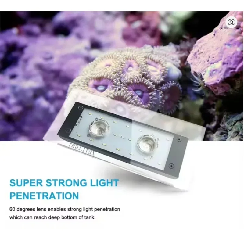 Zetlight ZA-1201 Ai…