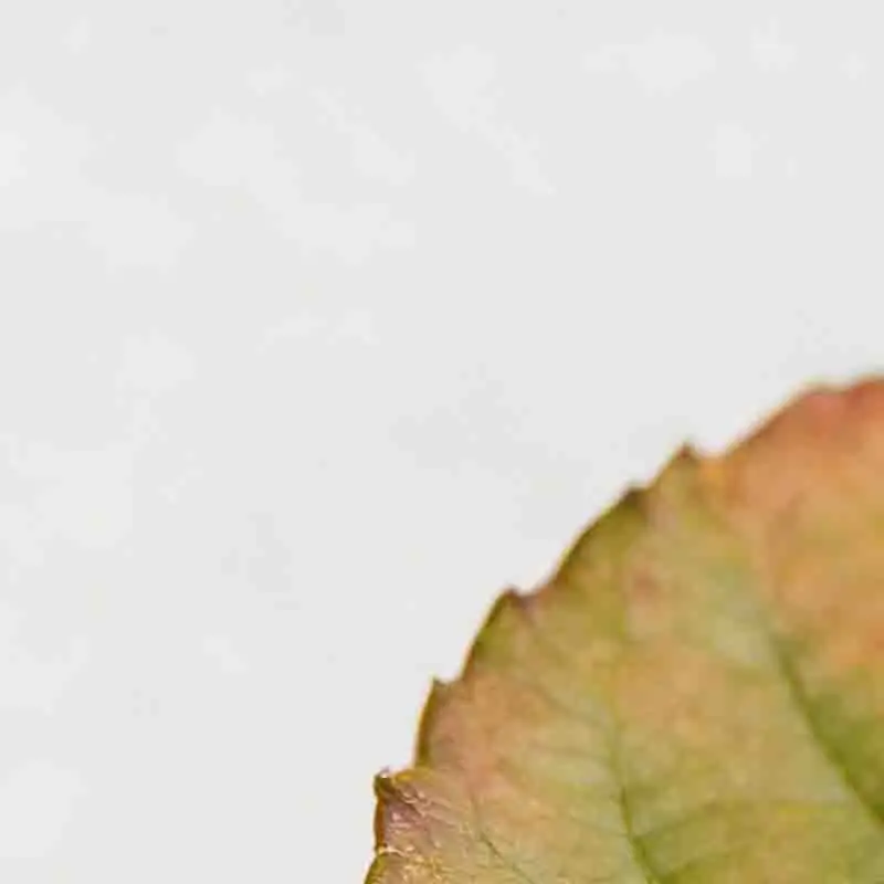 Skydroid C13 High-Definition Multifunctionele Gimbal met Drie Lampen, 30x Zoom, ALTarget Locking, Drie-assige Stabilisatie Camera RC