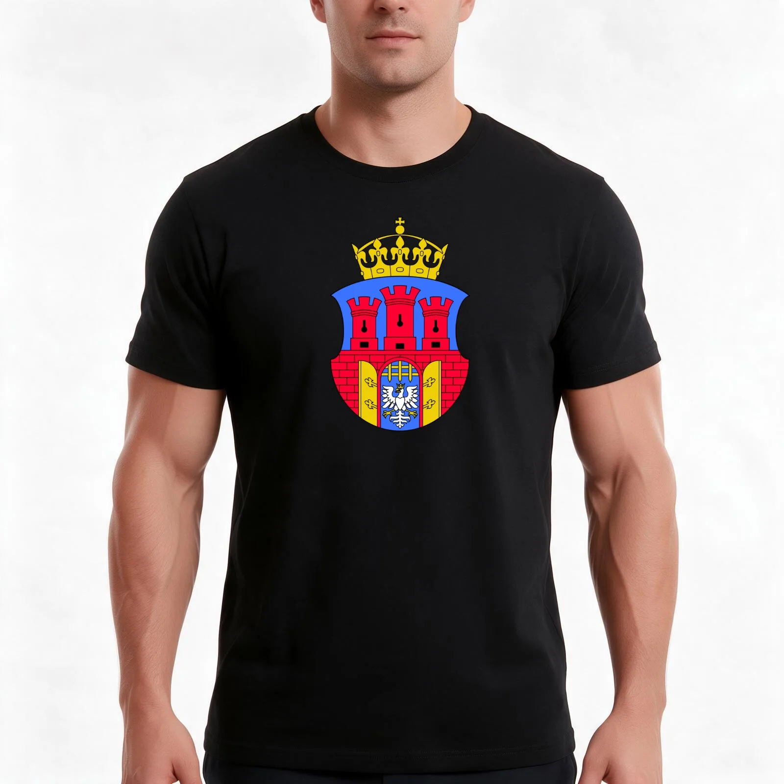 Coat of Arms of Krakow, Poland T-Shirt, Summer Casual Cotton Tee, Oversized Streetwear Tops, Vintage Graphic Print, 100% Cotton