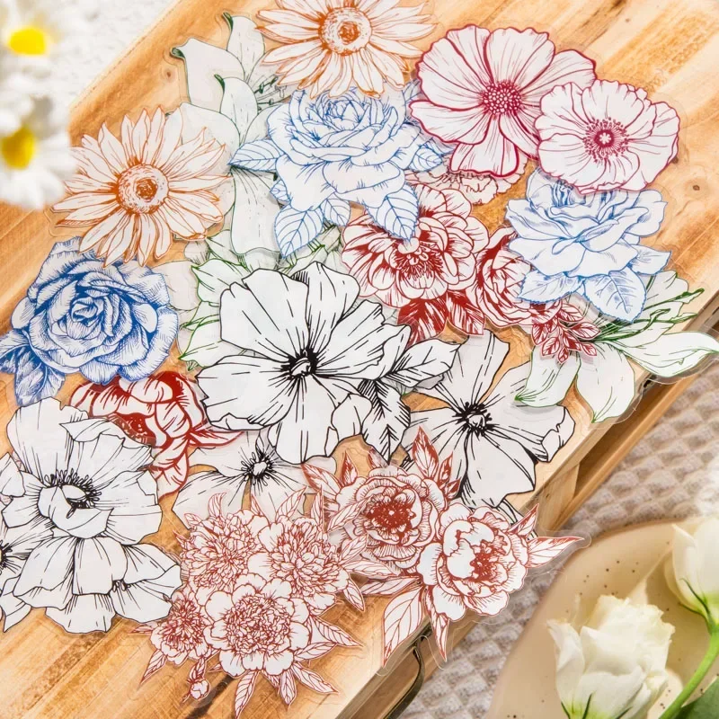 40pcs Plant Line Drawing PET Pack Sticker Pack for DIY Handbook Collage Backing Decoration Label Stickers Album DIY Scrapbooking