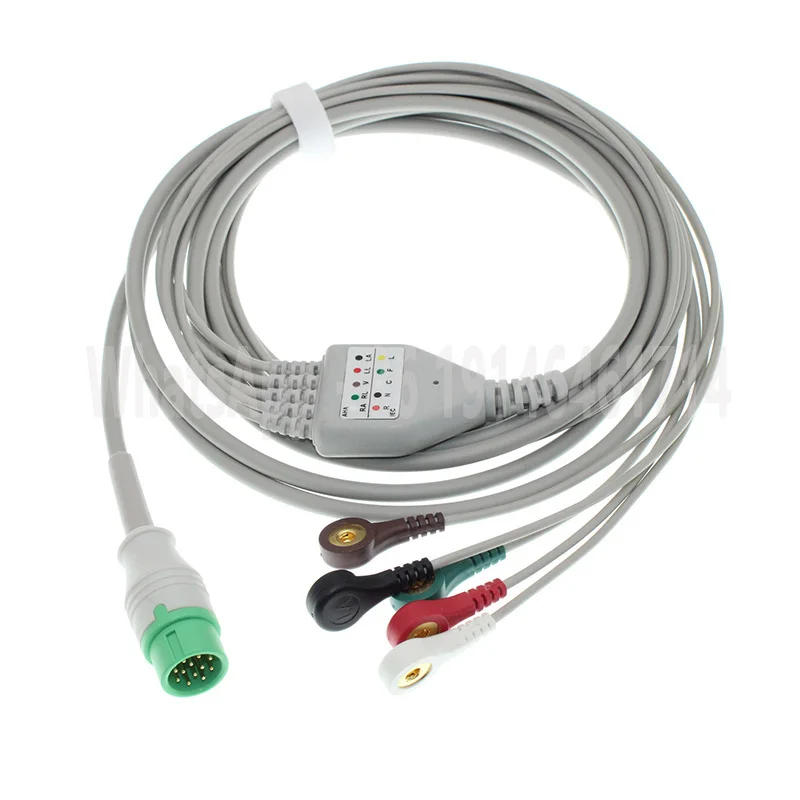 ECG EKG 3/5 Lead One-Piece Cable and Electrode Leadwire for Biolight BLT Any View A2 A3 A5 A6 A8 Q3 Q5 Q7 V6 Lifemed M12 Monitor