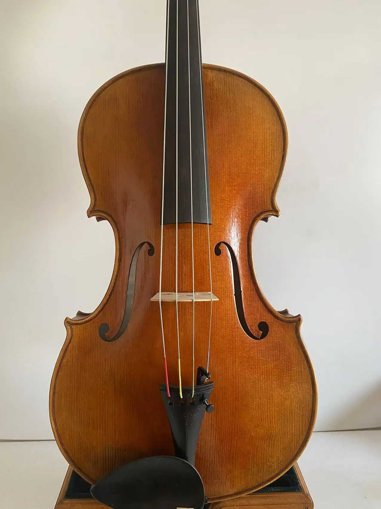 Professional Viola 16