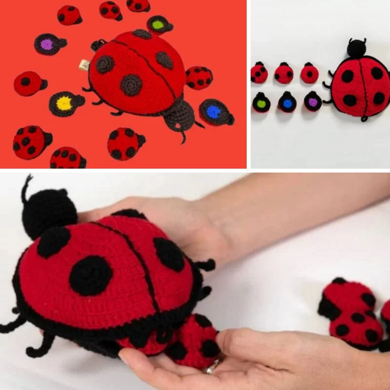 

Ladybird Crochet Memory Game, Memory Matching Game, Physical Item, The Original, Mom and Baby Educational Toys