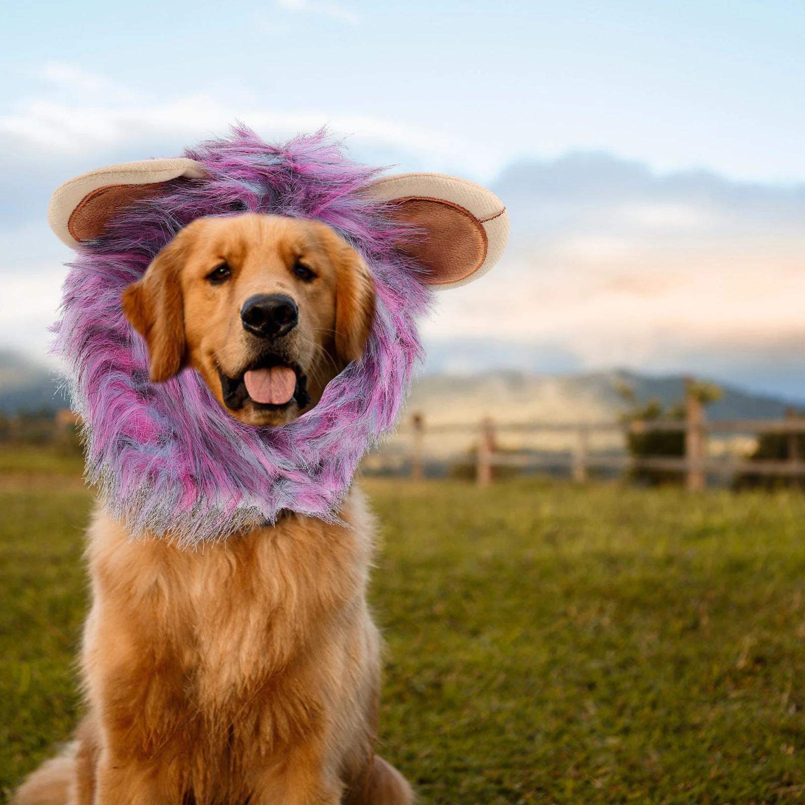 

Lion Hat for Pets Adjustable Cat Dog Hats Cap Halloween Costume Supplies Comfortable Pet Costume
