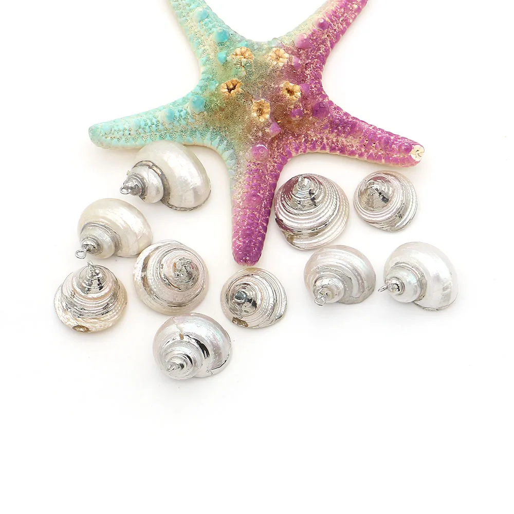 

Silver-plated Natural Conch Shell Pendants Snail Shape Seawater Shell Charms Randon 5pcs/pack DIY Creative Necklace Jewelry Gift
