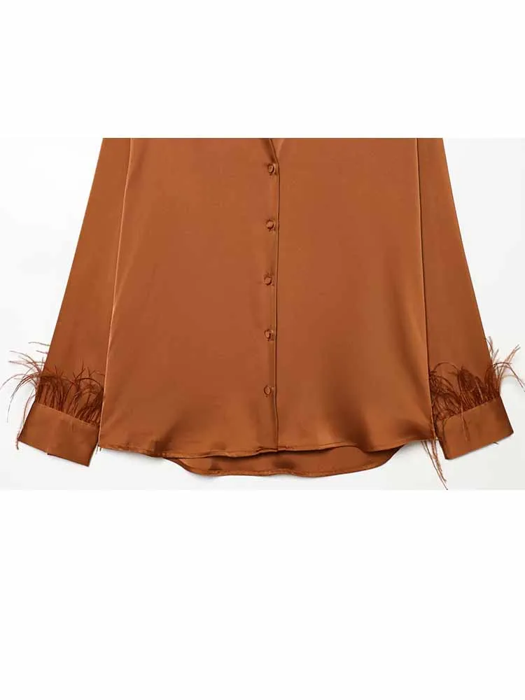 

HH Woman Early Spring Fashion Feather Decoration Silk Satin Texture Long Sleeves Lapel Single Breasted Shirt Female Casual Tops