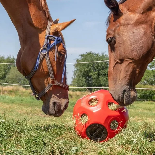

2025 Horse Hay Toy Balls Popular Equine Feeding Blue Slow Hanging Goat Sheep Relieve Stress Feeder Manufacturer