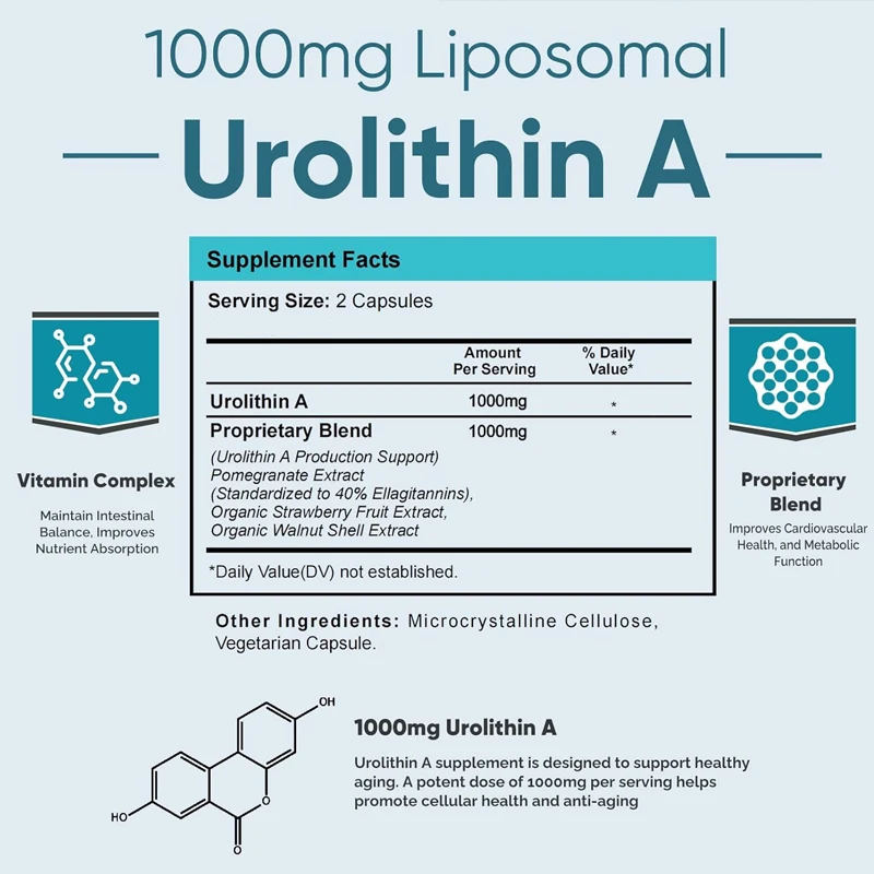 Integratore di urea da 1000 mg, salute dell'invecchiamento, antiossidante e supporto mitochondriale, 60 capsule promuove la salute cellulare e l'antietà