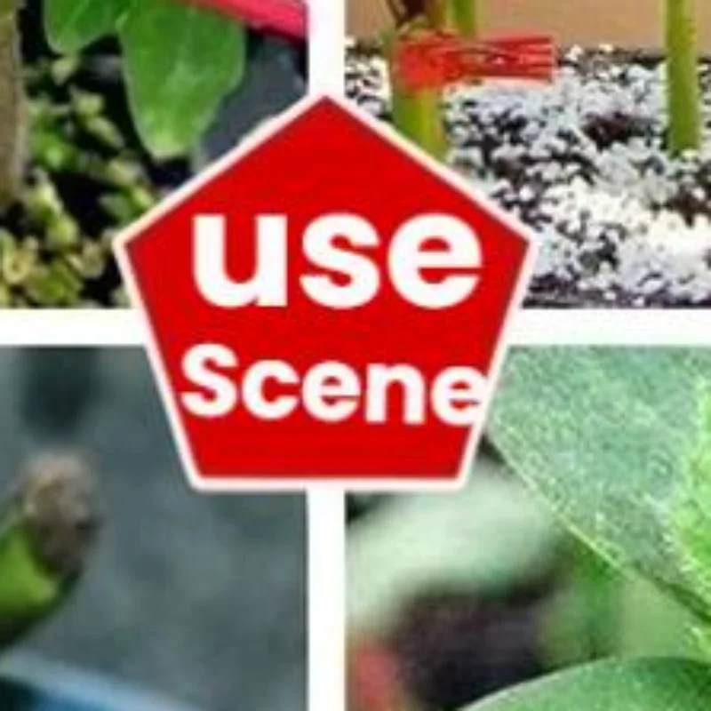 50/100Pcs Plant Grafting Clips Plastic Spring Support Clamp Reusable Fixing Clip For Vegetable Seedling Garden Cultivation