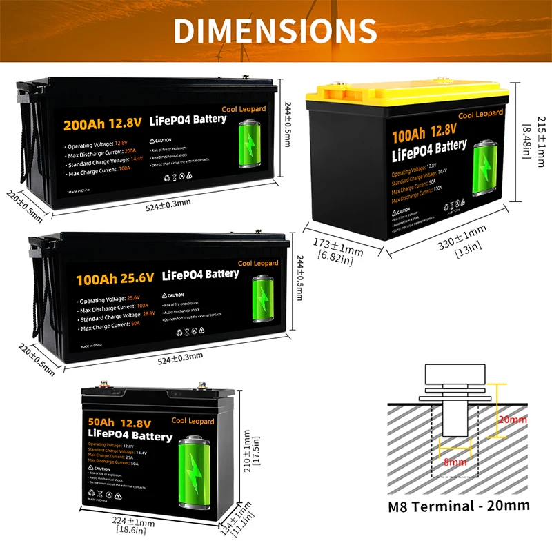 12V 24V 50Ah 100Ah 200Ah batteria ricaricabile LiFePo4 BMS integrato, per RV Boats motore carrello elevatore batteria di ricambio