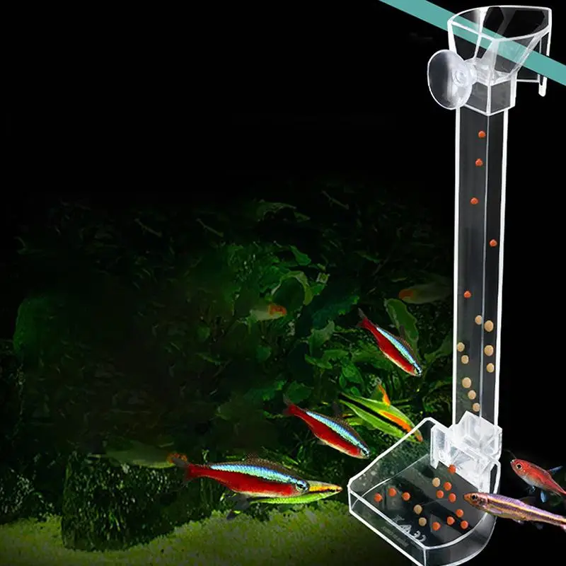 🌟Aquarium Fish Shrimp Feeding Dish Set - Clear Feeder Tube And Dish With Cleaning Brush And Measuring Spoon For Shrimp