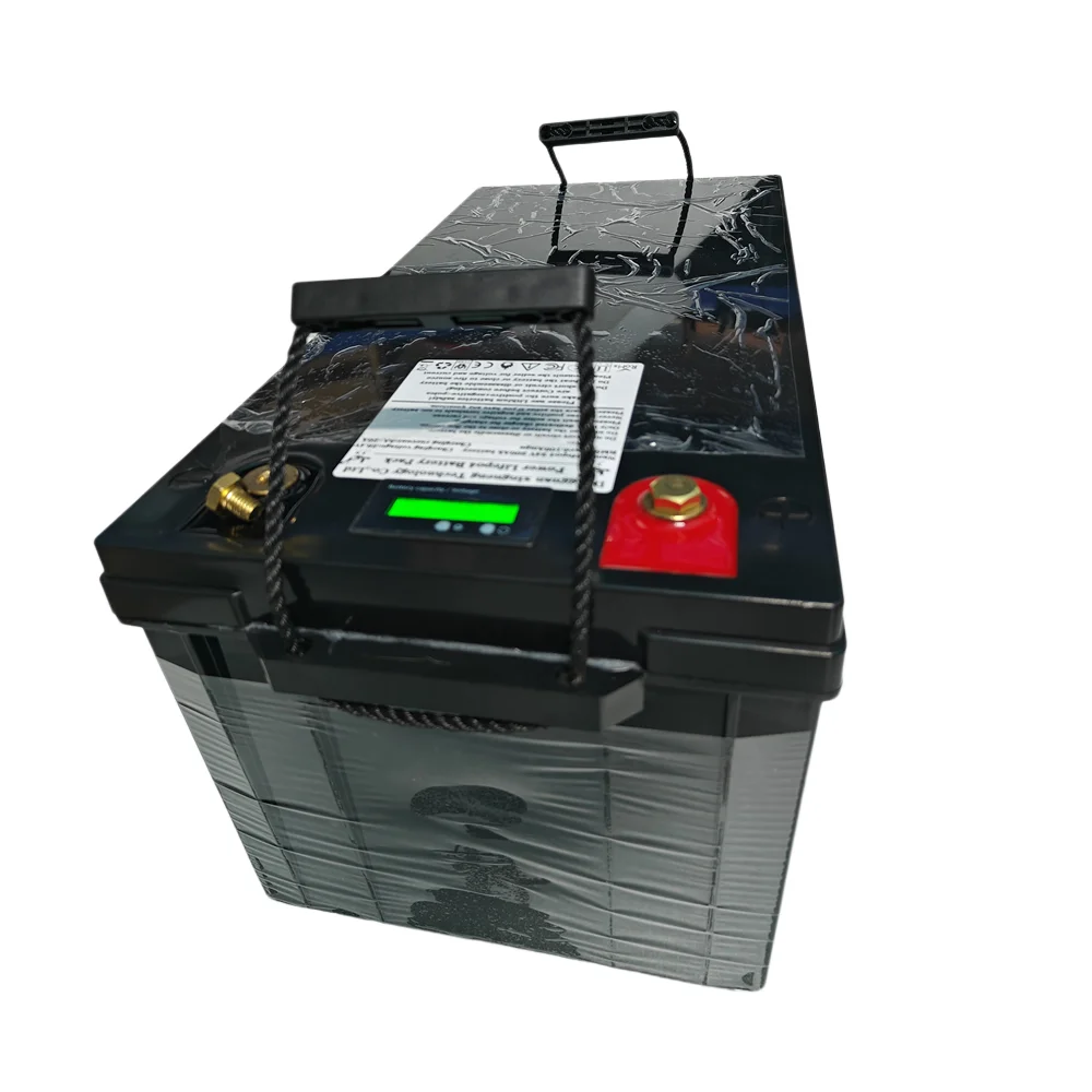 PP 48V 50Ah 100Ah 150Ah 200Ah 300Ah Lifepo4 Lithium Battery pack bluetooth Parellel for Solar system 3000W 5000W 6000W Inverter