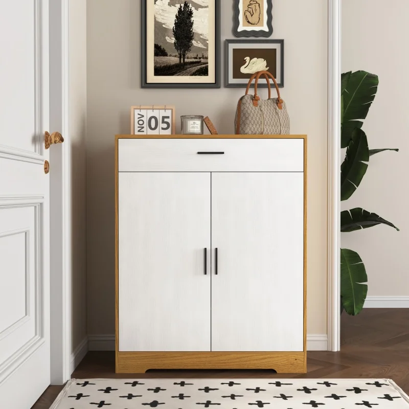 

Modern Two-Door Entryway Shoe Cabinet with Drawer