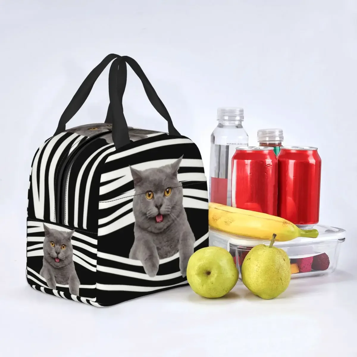 Britânico shorthair gato listras térmico isolado almoço saco feminino portátil almoço tote para trabalho escolar comida bento caixa