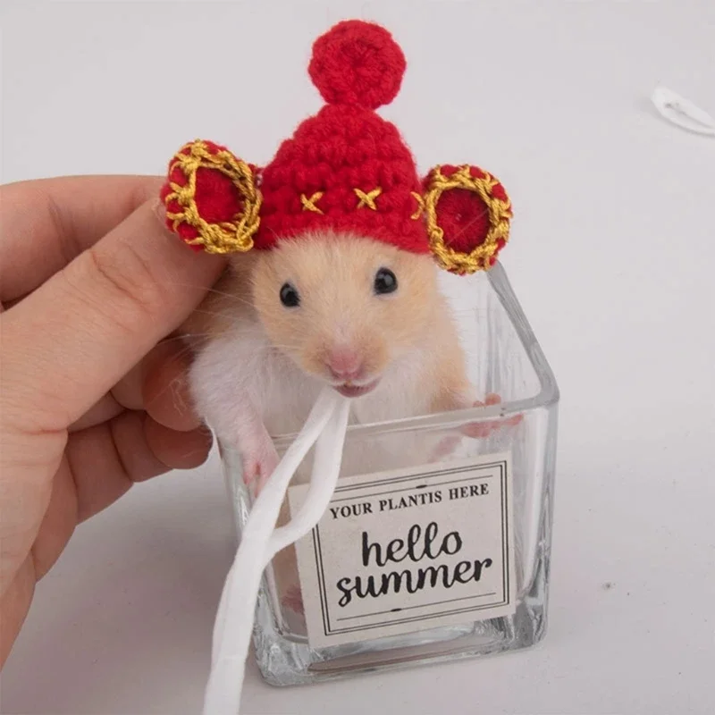 Hamster Costume Fruit Rabbit Hat with Ears for Festival Decoration Handwoven