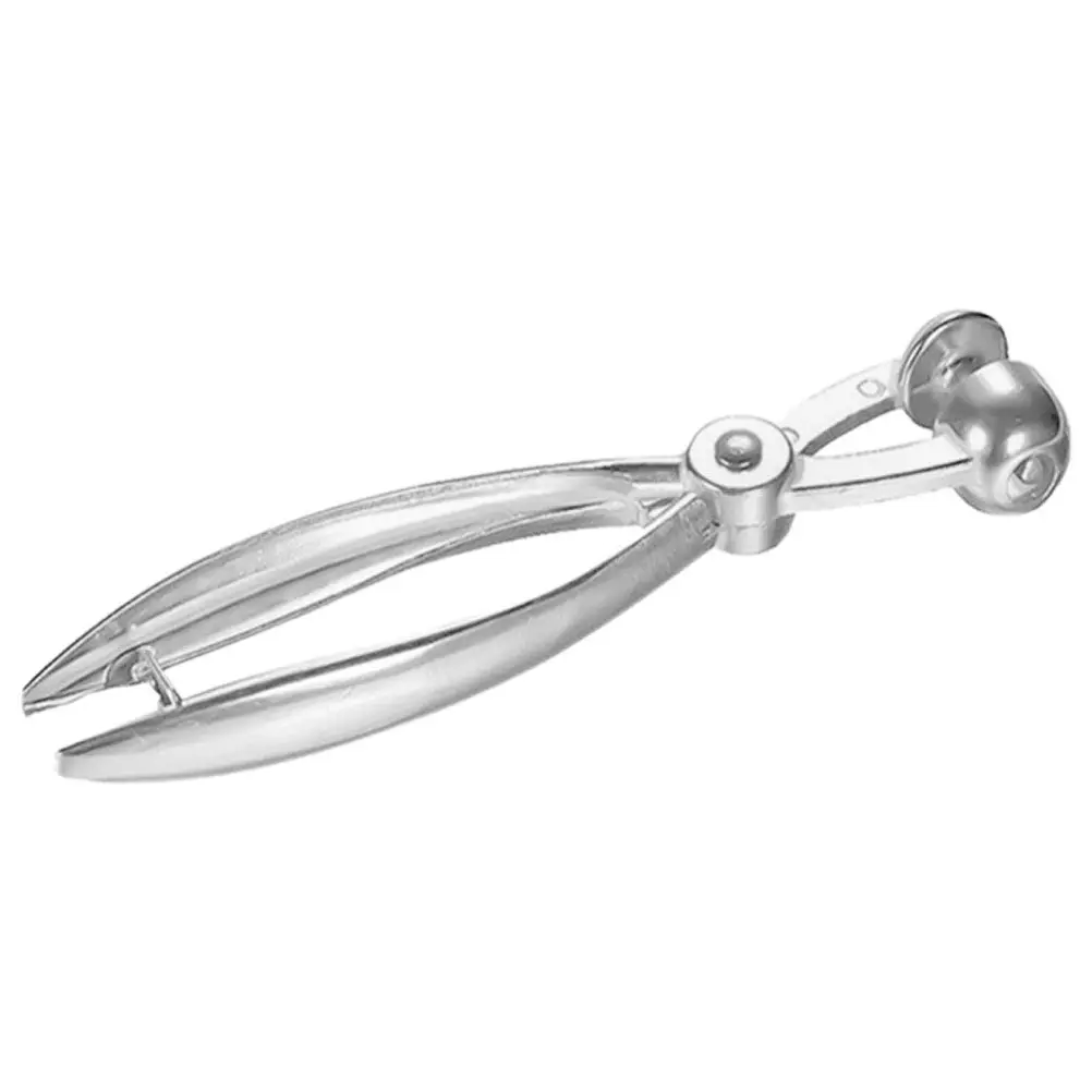 Professional Cherry Pitter Tool Metal Multi Purpose Fruit Pitting Device for Cherries Dates Olives Strawberries Red Dates Jujube