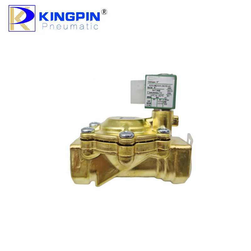 SCE238D005 AC220 مكونات هوائية لصمام الملف اللولبي ثنائي الاتجاه لصمام المياه