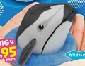 White sided Dolphin