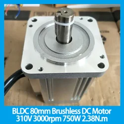 BLDC 80mm Brushless DC Motor (80BL130S75) 310V 3000rpm 750W 2.38N.m  Brushless Motor