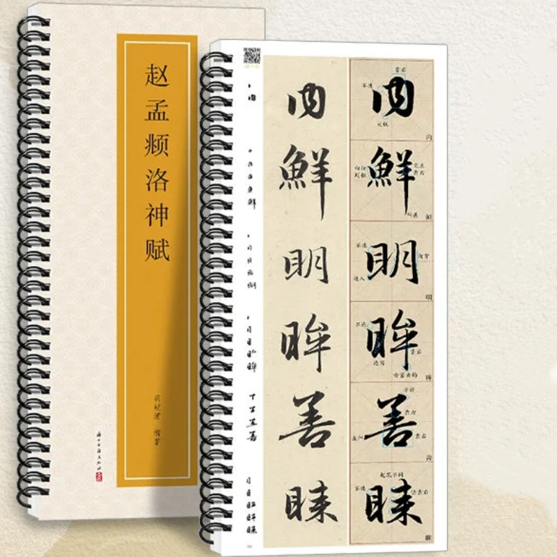 Calligraphy Copying Flashcards of Stone Inscriptions and Rubbings Close-Range Chinese Character Cards Tracing Practice Booklet