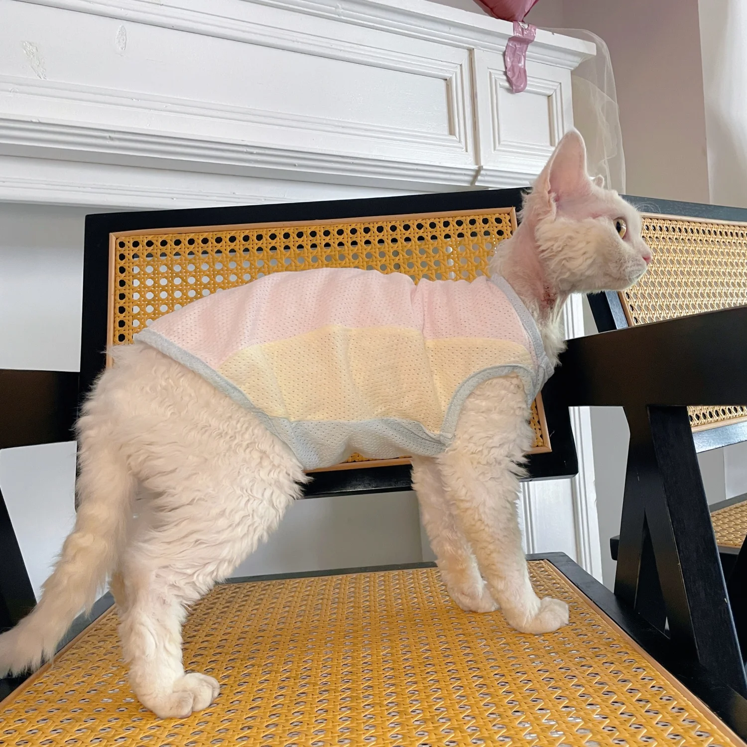 

Cats Clothing Loght Weight Cotton Mesh Vest For Sphnx Cat Short Sleeves T-shirt for Kittens in Summer Devon Rex Thin Coat