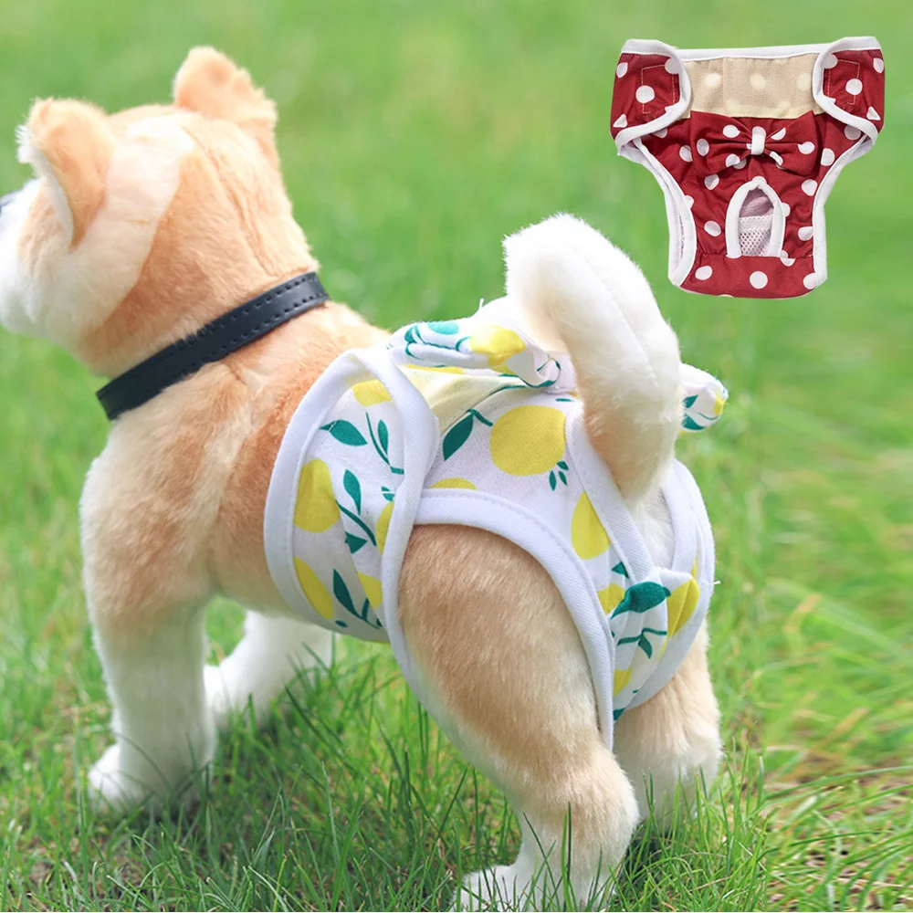 Dog Physiological Pants Pet Supply Dog Menstrual Pants Pet Princess Panties Pet Diaper For Small Dog Breathable Bow Dog Clothes