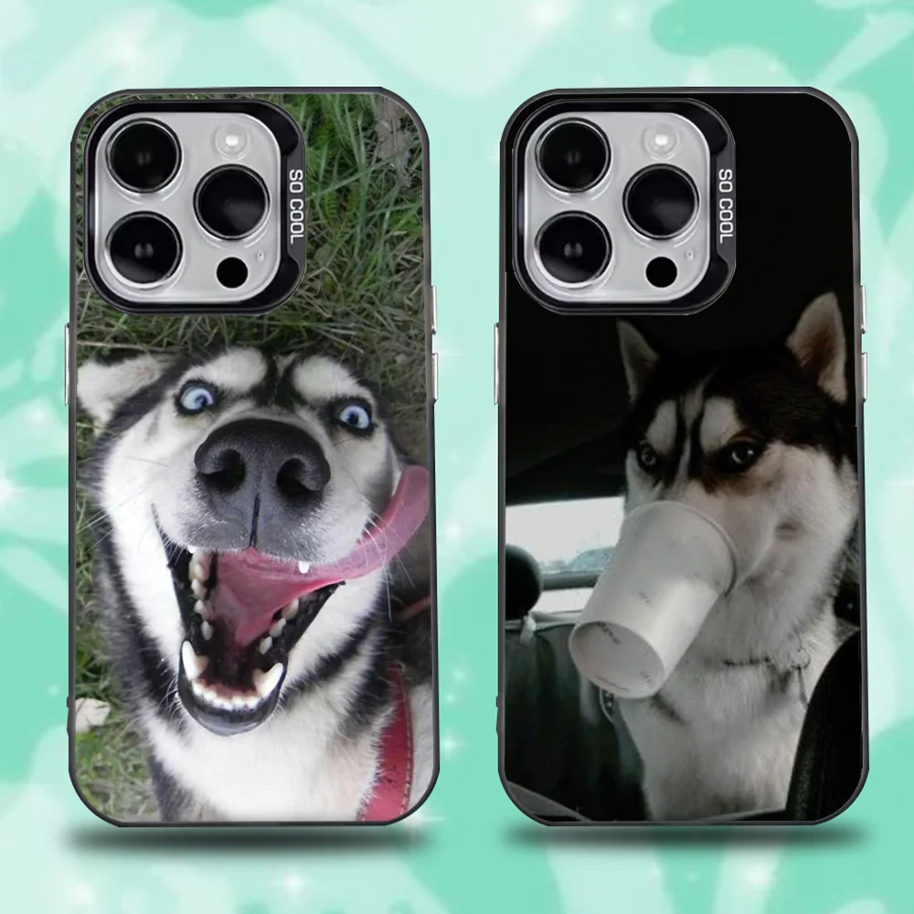 

Siberian Husky Dog Phone Case For iPhone 16,15,14,13,12,11,Pro,Max,Plus,Mini,XS,SE Anti Fall Black Matte Hard Bumper