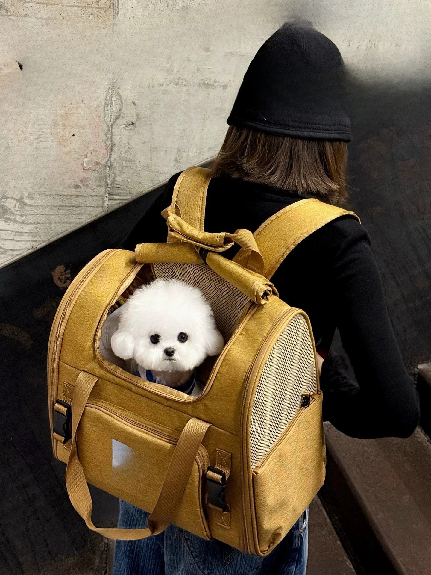 

Dog Go Out Portable Bag Bigbear School Bag Double Shoulder Small Dog Go Out Dog Bag Pet Supplies Small Backpack