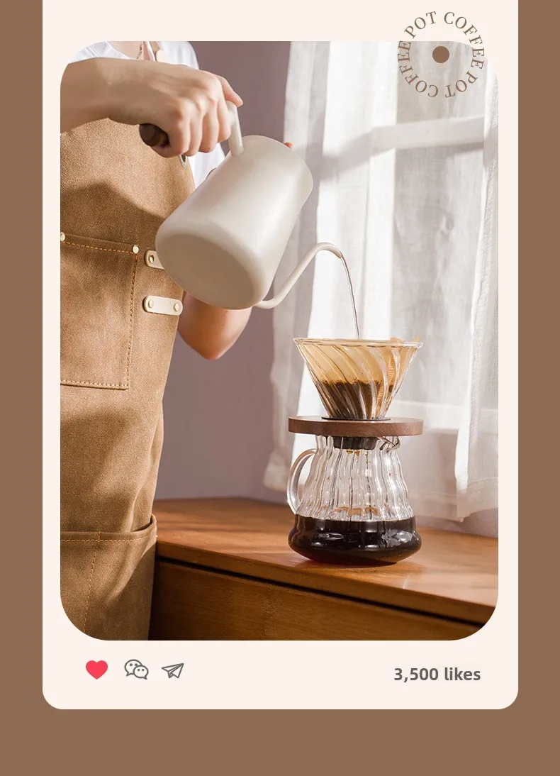 304 Stainless Steel 650ml Hand Brewed Coffee Pot Modern Simple Wooden Handle Thermometer Thickened Coating