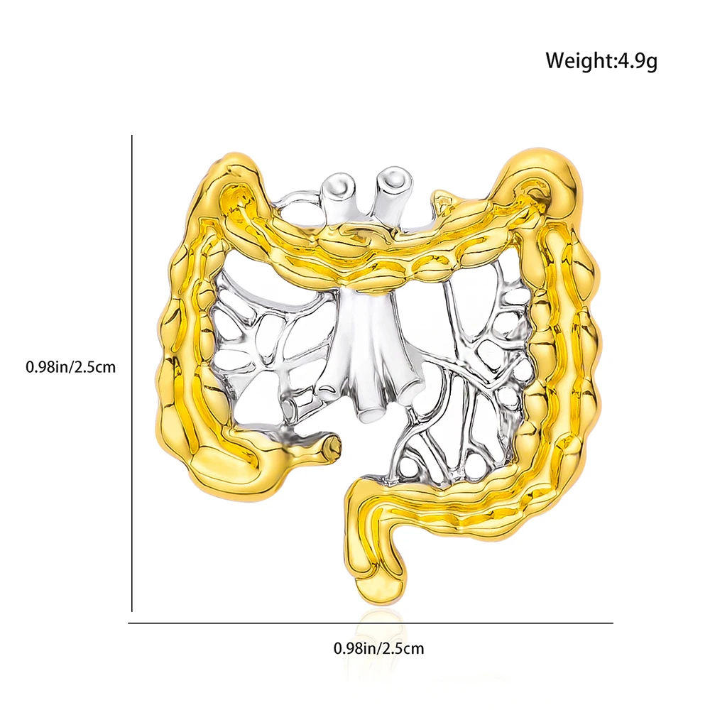 Medizinische Emaille Brosche Gastroenterologie Pin Abzeichen Revers Jacke Zubehör Schmuck Dickdarm Arzt Krankens ch western Souvenir Großhandel