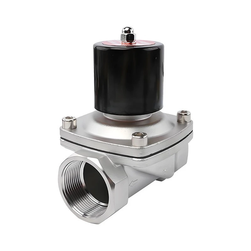 For 2S- 08/10/15/20/25 Stainless Steel 304 Pneumatic Water Valve Solenoid Valve 12V/24V/110V/220V